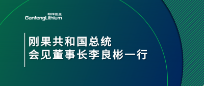 刚果共和国总统会见尊龙凯时人生就是搏锂业董事长李良彬一行